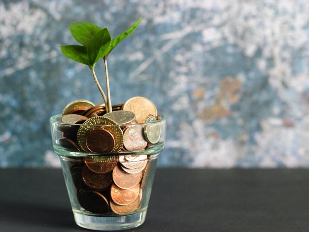 plant growing in money